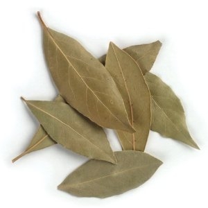 Lá Nguyệt Quế